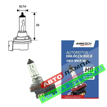 Avantech H8 12V 80W Standard  PGJ19-1 AB0033