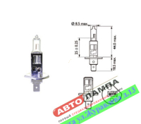 Xencn H1 24V 70W Standard 8131 P14.5s