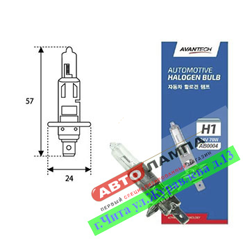 Avantech H1 24V 75W Standard  P14.5s AB0004