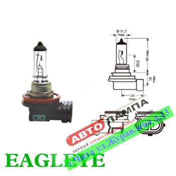 H114 Eagleye H11 24V 70W   PGJ19-2
