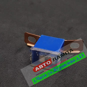 77100 RA   100A FLD Тайвань Предохранители